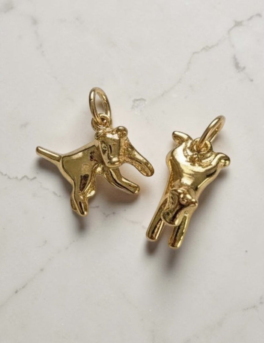 Sploot Charm | Options