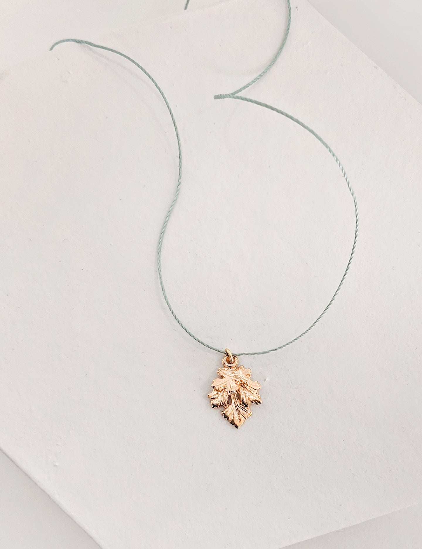 Herb Necklace on Cord