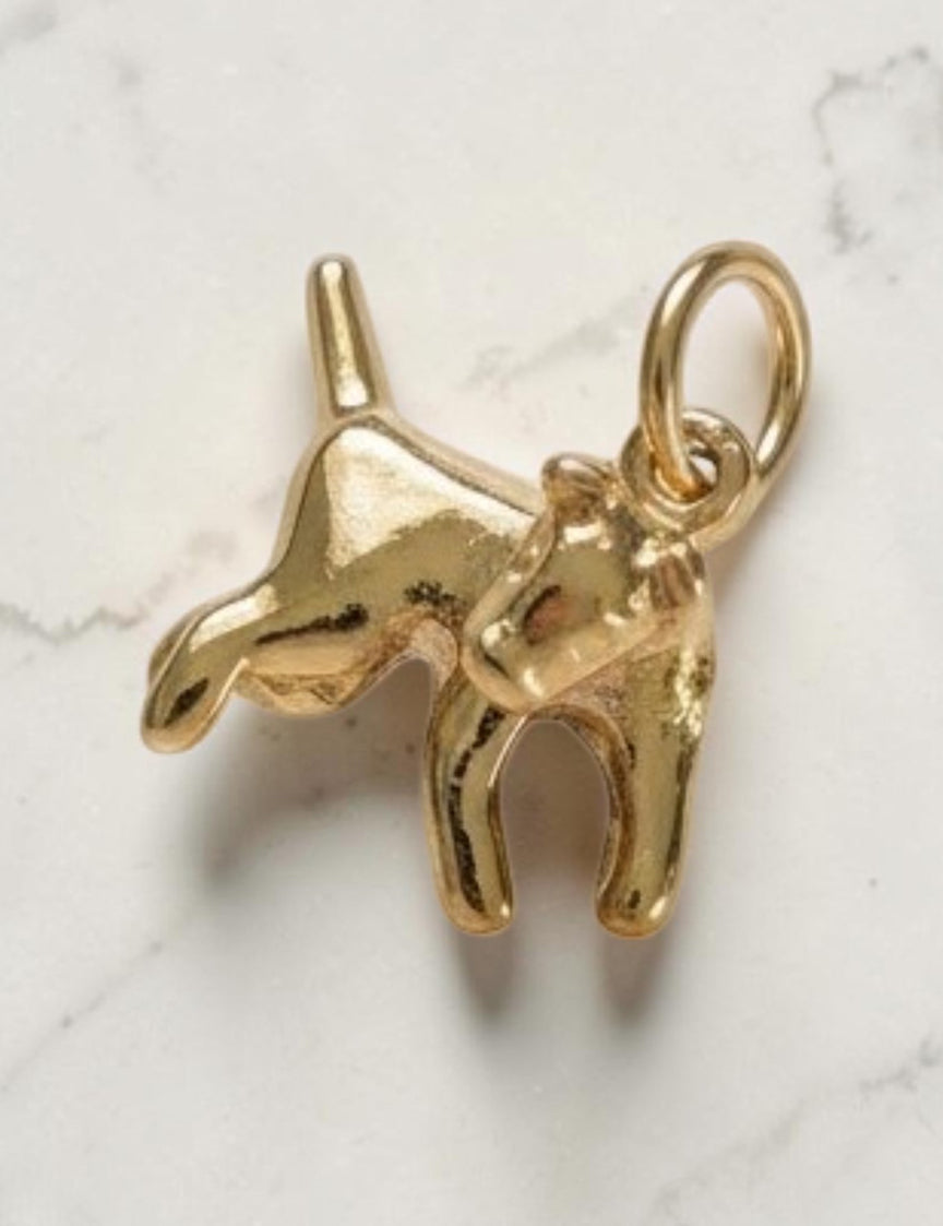 Sploot Charm | Options