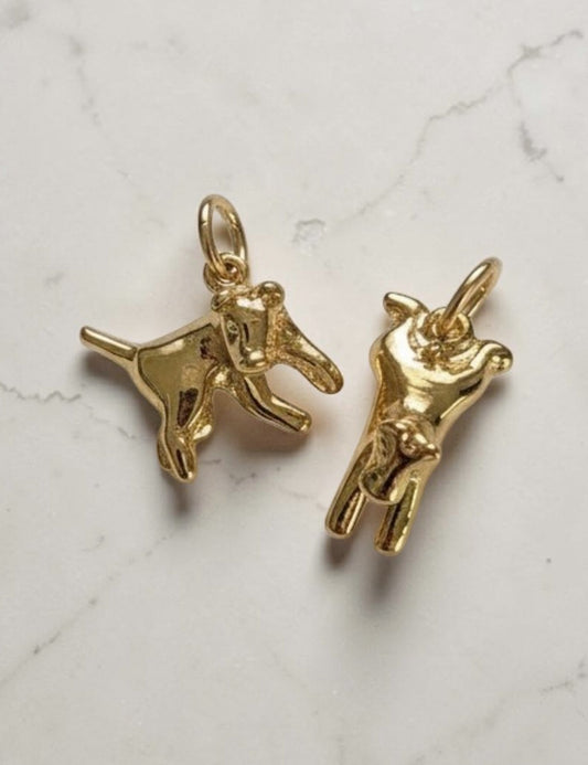 Sploot Charm | Options