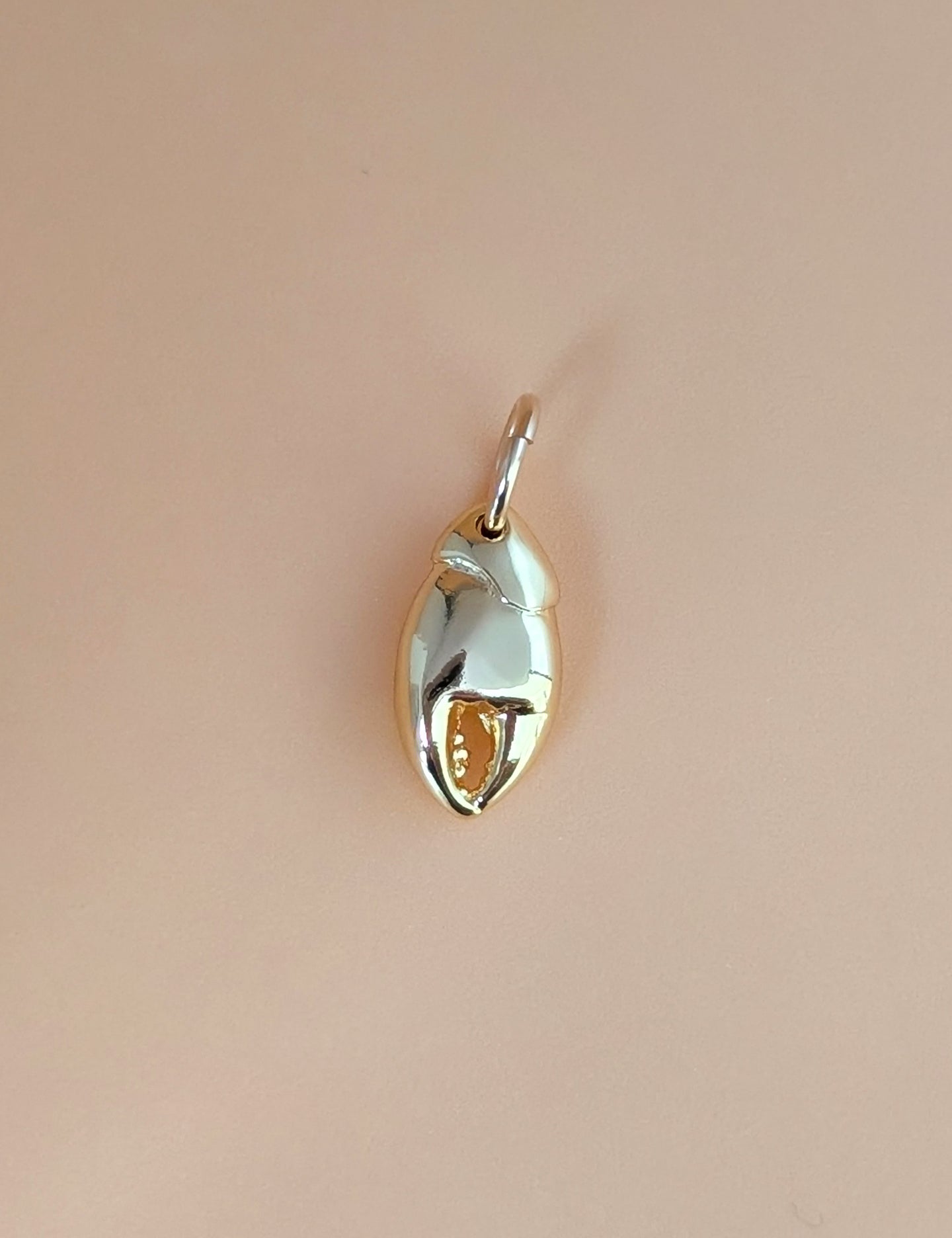 Wild Things Charms