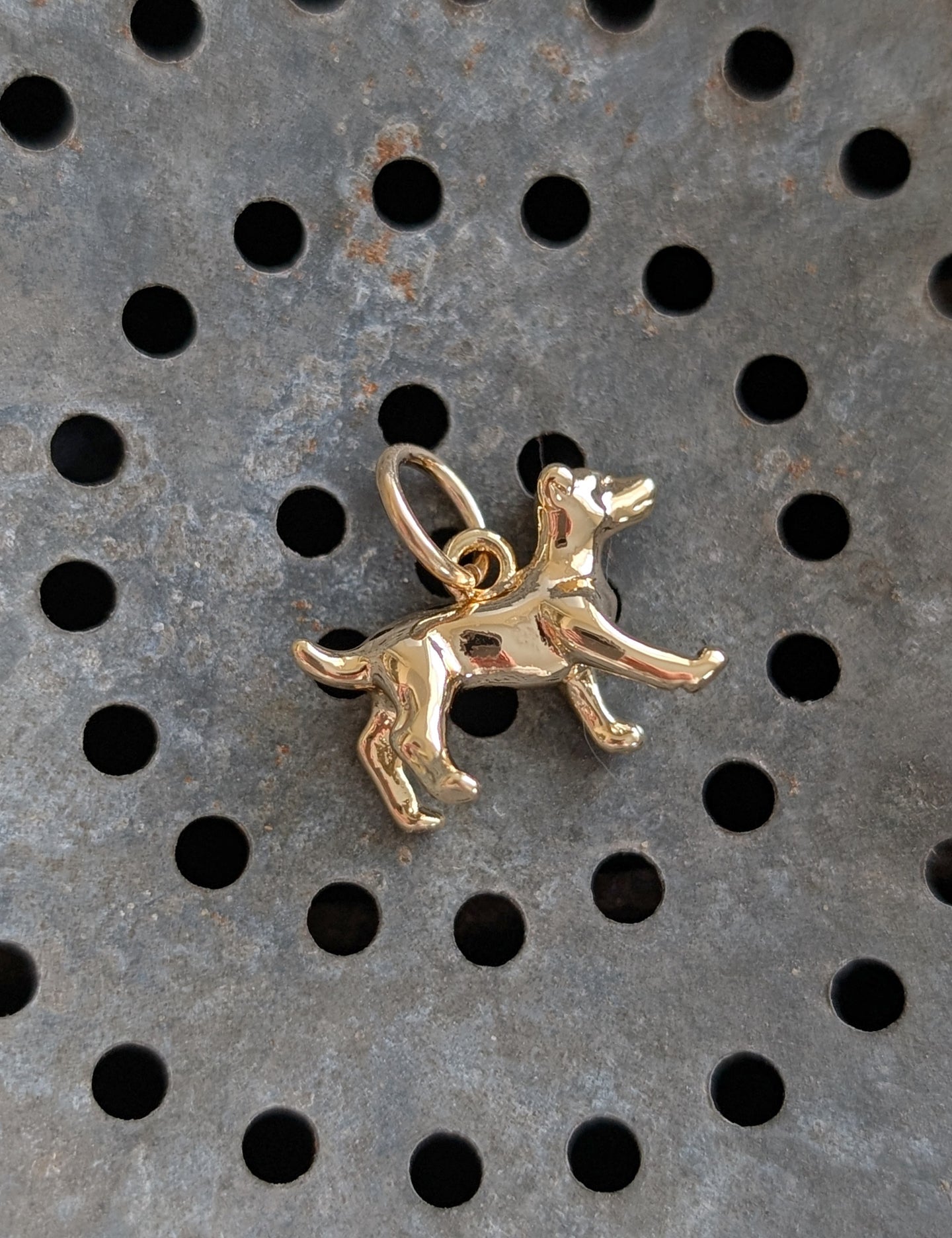 Wild Things Charms