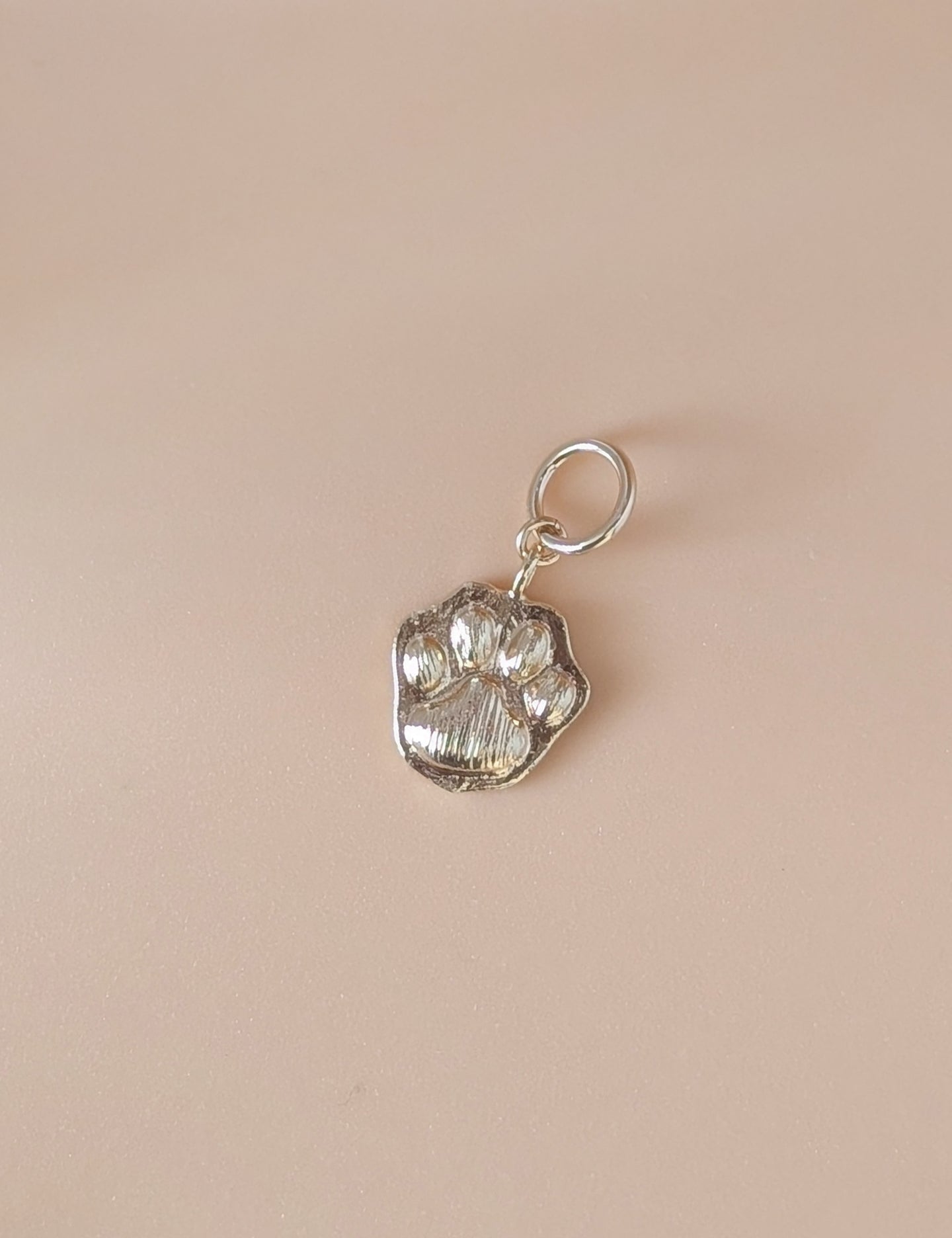 Wild Things Charms