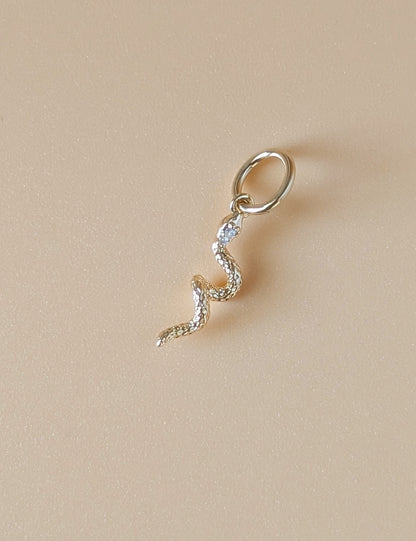 Wild Things Charms
