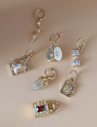 Wild Things Charms